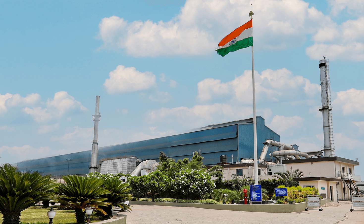 TMT Plants